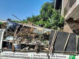 Best Estate Cleanout  in Munster, IN